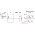 custom 1 100 gear ratio 12v worm gear motor high torque